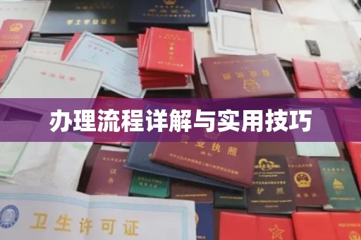 南湖办理流程详解与实用技巧
