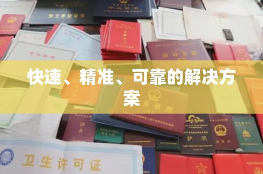 南湖快速、精准、可靠的解决方案