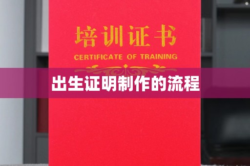 南湖出生证明制作的流程