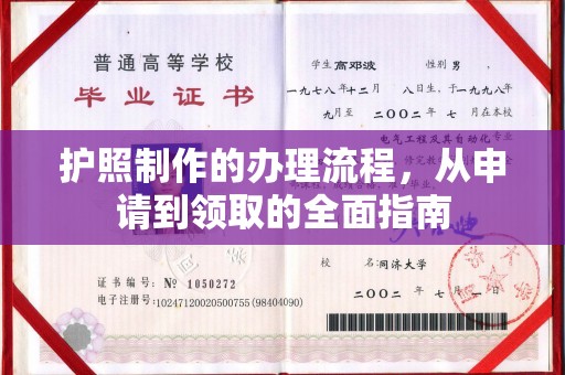 南湖护照制作的办理流程，从申请到领取的全面指南