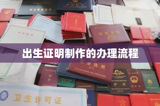 南湖出生证明制作的办理流程
