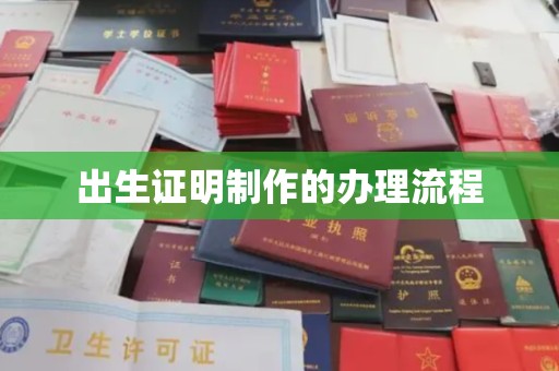 南湖出生证明制作的办理流程