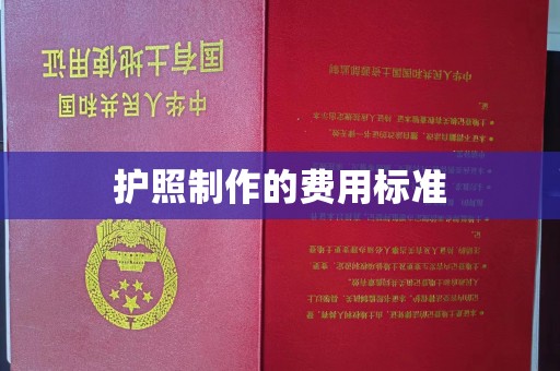 南湖护照制作的费用标准