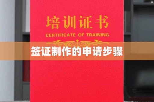 南湖签证制作的申请步骤