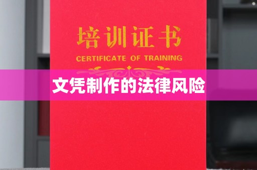 南湖文凭制作的法律风险