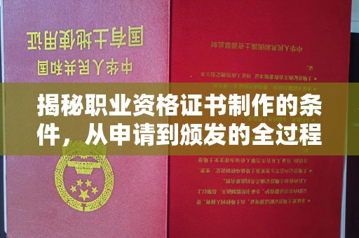 南湖揭秘职业资格证书制作的条件，从申请到颁发的全过程