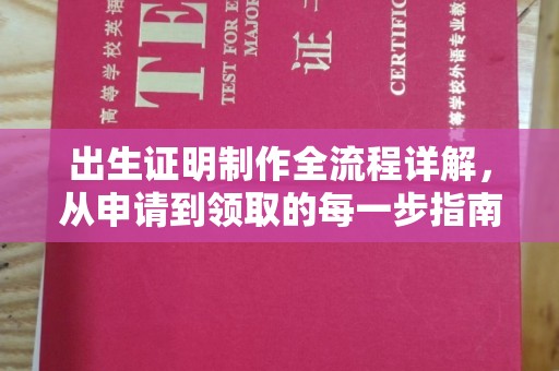 南湖出生证明制作全流程详解，从申请到领取的每一步指南