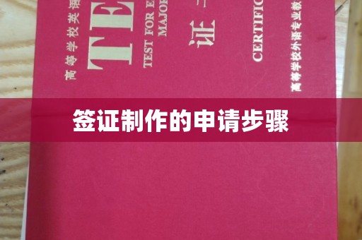 南湖签证制作的申请步骤