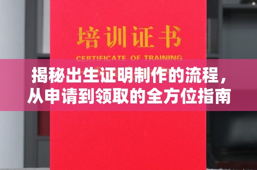 南湖揭秘出生证明制作的流程，从申请到领取的全方位指南