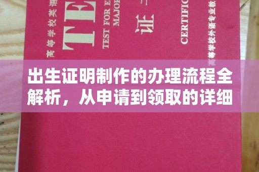 南湖出生证明制作的办理流程全解析，从申请到领取的详细指南