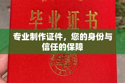 南湖专业制作证件，您的身份与信任的保障