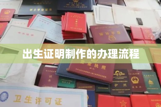 南湖出生证明制作的办理流程